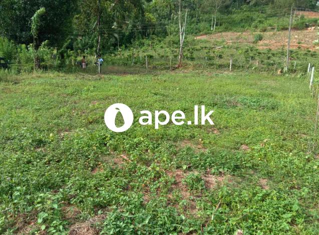 Land Sale - Rathnapura,Ihala hakamuwa